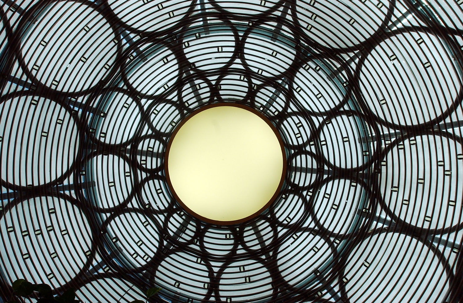 LR Glass Dome Sept4.07 014.jpg